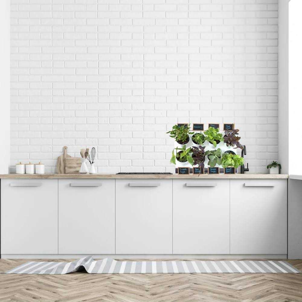 Watex Countertop Garden Kit - Image 4